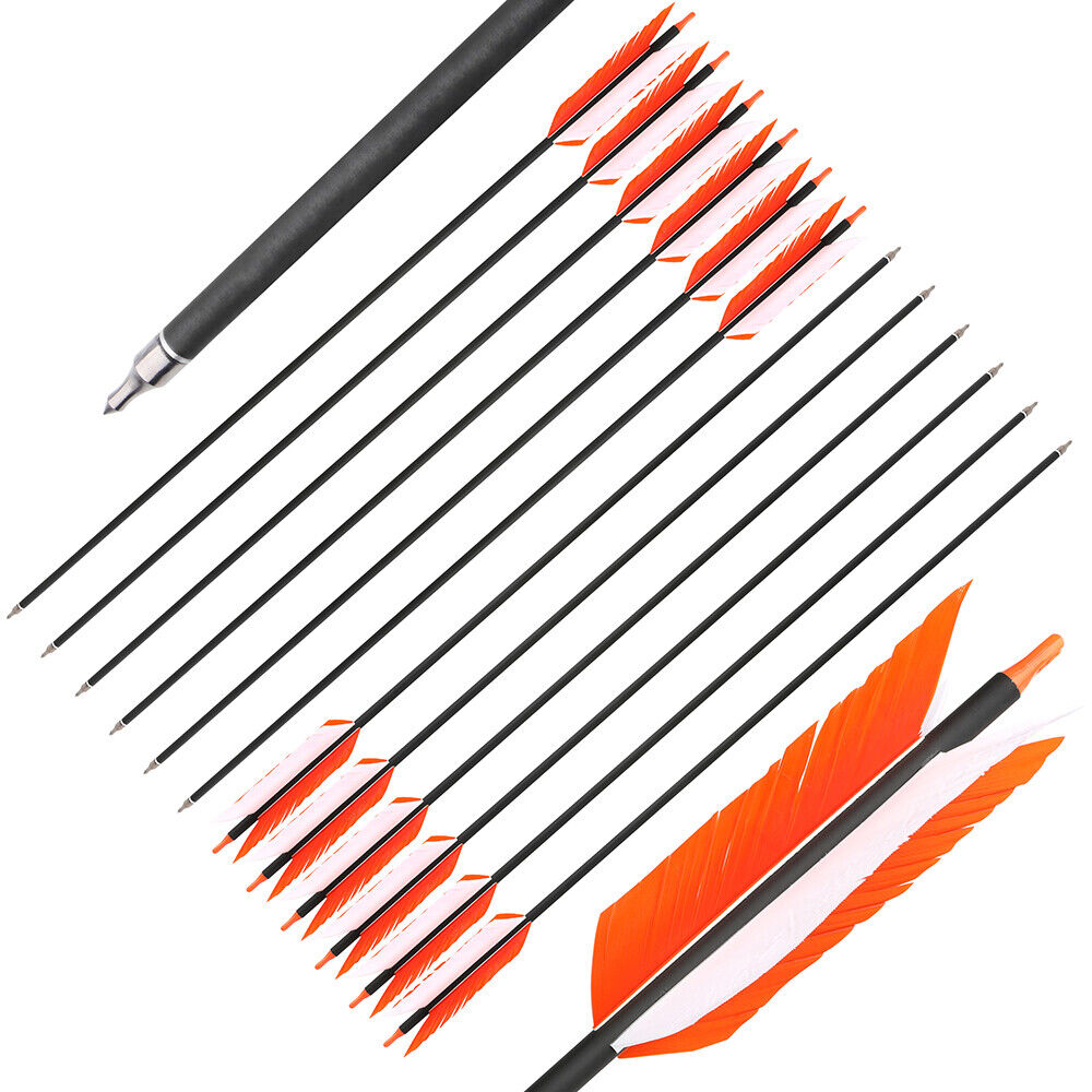 12pcs 30" Carbon Arrows 4"  Feather SP500 Bow Hunt Archery Shoot Target